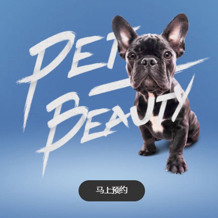 云岩区宠物中心小程序开发