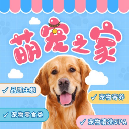 云岩区萌宠之家小程序开发