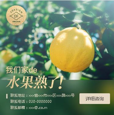 云岩区果园果林小程序开发